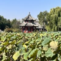 評論圖片 1