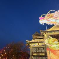 評論圖片 6