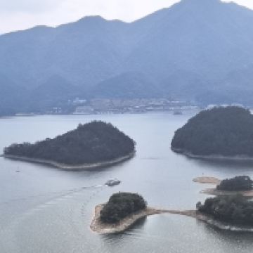 評論圖片 5