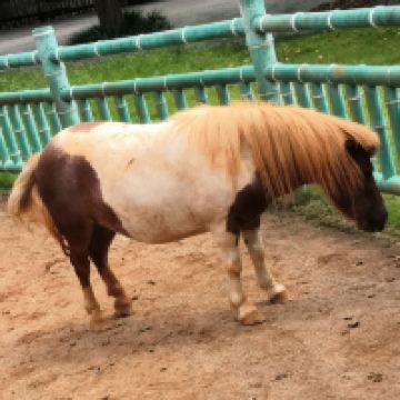 評論圖片 5