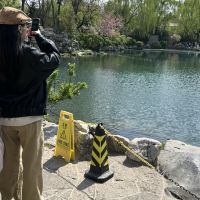 評論圖片 9