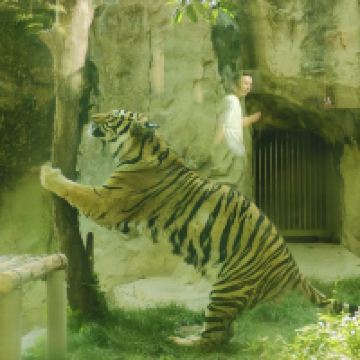 評論圖片 7