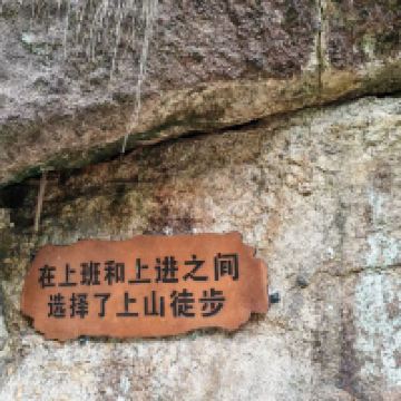 評論圖片 8