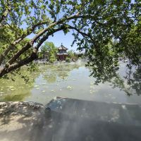 評論圖片 7