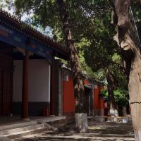 評論圖片 5