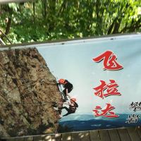 評論圖片 3