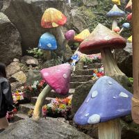 評論圖片 1