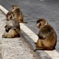 評論圖片 6