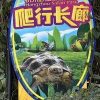 評論圖片 5