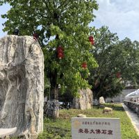 評論圖片 3