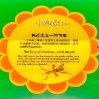 評論圖片 3