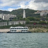評論圖片 2