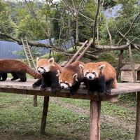 評論圖片 4