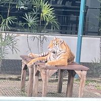 評論圖片 5