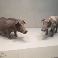 評論圖片 9