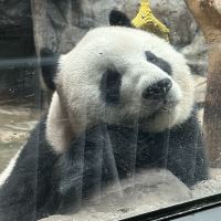 評論圖片 3
