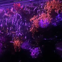 評論圖片 9