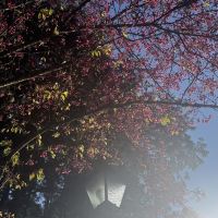 評論圖片 9