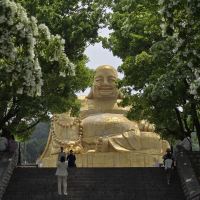 評論圖片 1