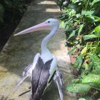 評論圖片 2