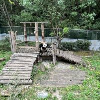 評論圖片 2