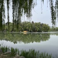 評論圖片 5