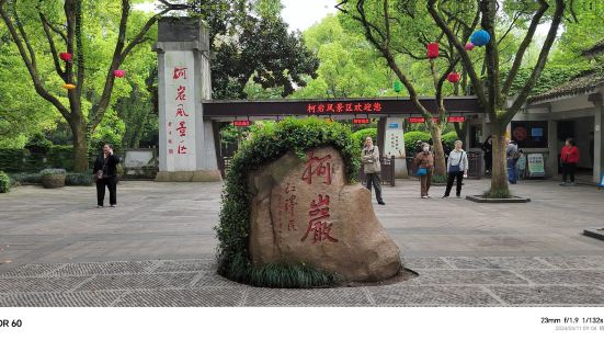 春天的城市裡，遍地桃紅柳綠，鳥語花香，碧水蕩漾，小橋流水間，