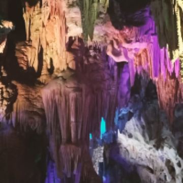 評論圖片 4