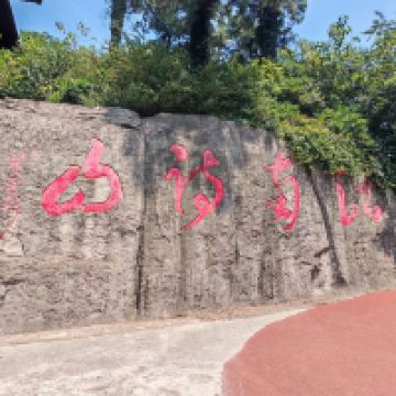評論圖片 1