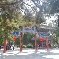 評論圖片 5