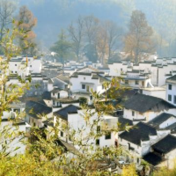 評論圖片 3