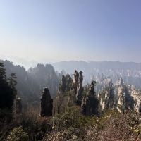 評論圖片 9