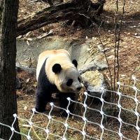 評論圖片 7