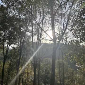 評論圖片 3