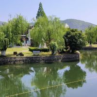 評論圖片 2