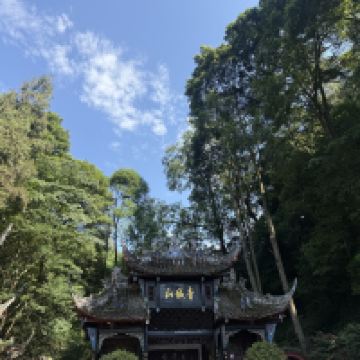 評論圖片 5