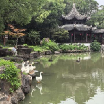 評論圖片 6