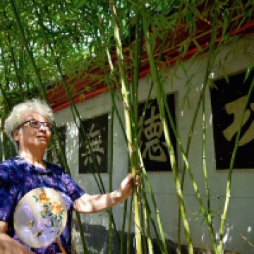 評論圖片 8