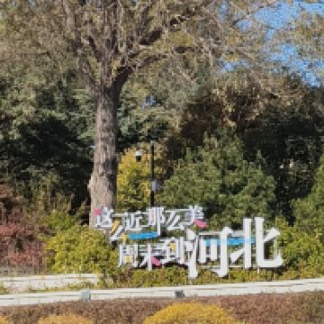 評論圖片 1