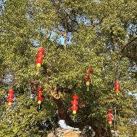評論圖片 4