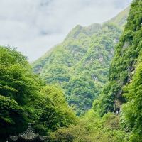評論圖片 3