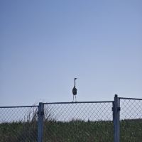 評論圖片 6
