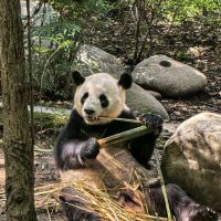 評論圖片 6