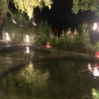 評論圖片 6