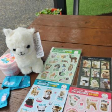 評論圖片 5