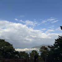 評論圖片 6