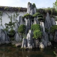 評論圖片 1