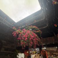 評論圖片 5