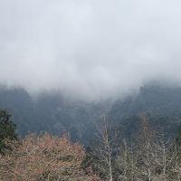 評論圖片 2