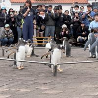 評論圖片 6